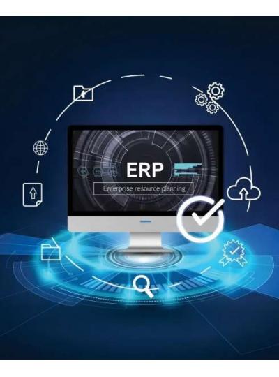 Logistics Information System-ERP